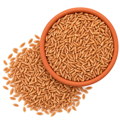 Khapli Whole Wheat