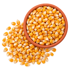 100% Maize / Corn