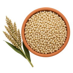 Sprouted Jowar – 12%