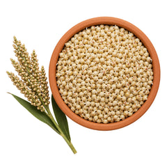 Sprouted Jowar