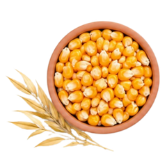 Corn – 5.8%