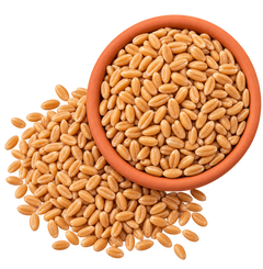 Sharbati Whole Wheat