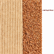 Khapli Whole Wheat Flour