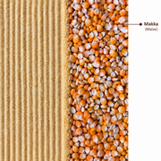 Makka Flour