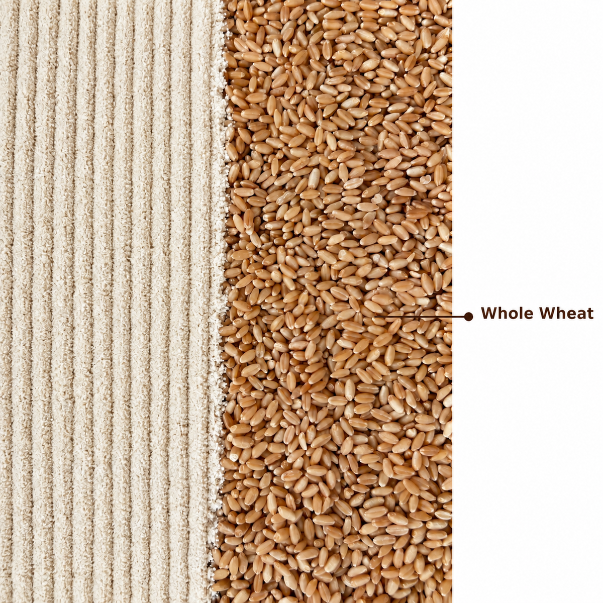 Sprouted Whole Wheat Flour