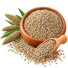 Pearl Millet