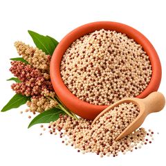Quinoa
