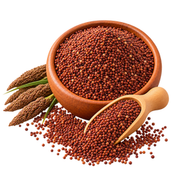 Finger Millet