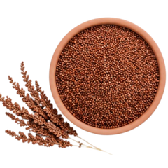 Ragi (Finger Millet)