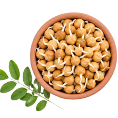 Sprouted Chana – 6%