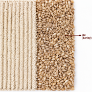 Jau Flour (Barley)