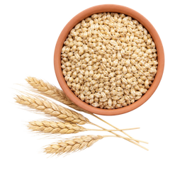 Jowar